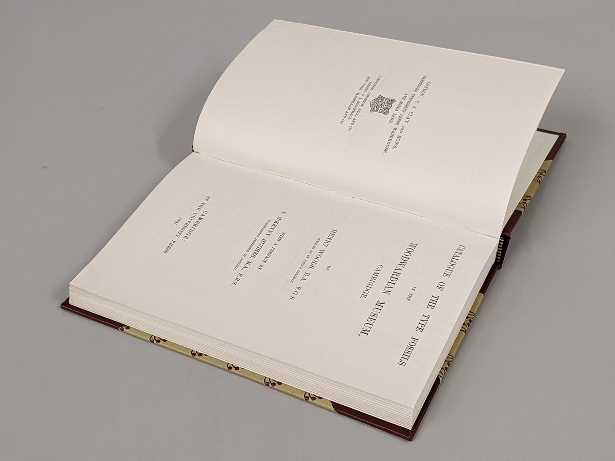 bookbinding and conservation — Portfolio