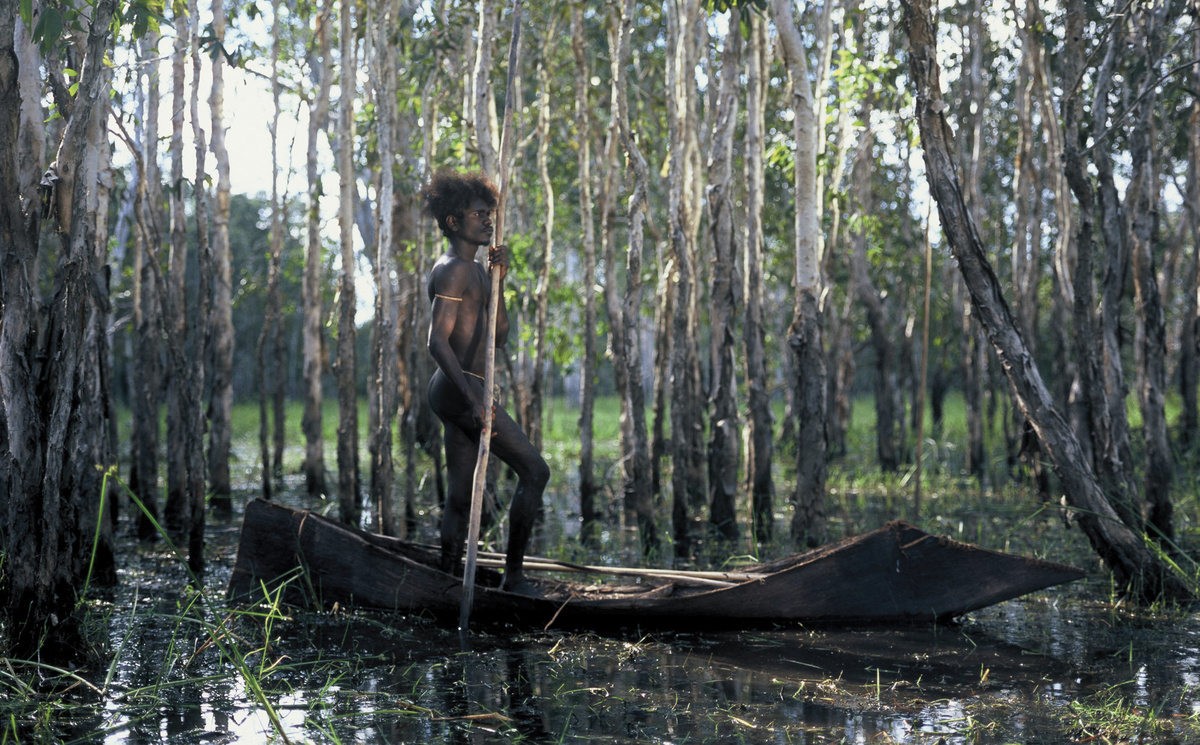 Ten Canoes — Indigenous Film Archive
