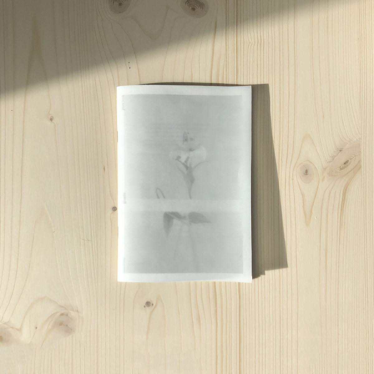 Print 3 - Y+Y Studio