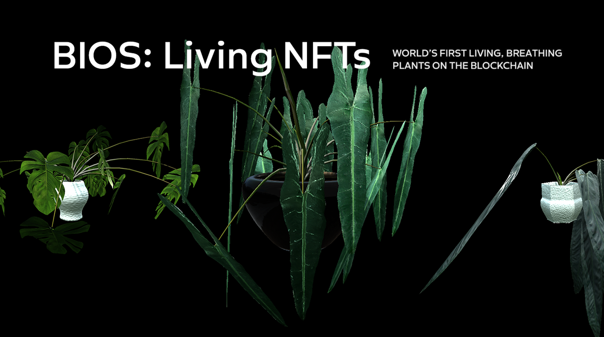 BIOS: Living NFTs - JXKE BIOS: Living NFTs - JXKE