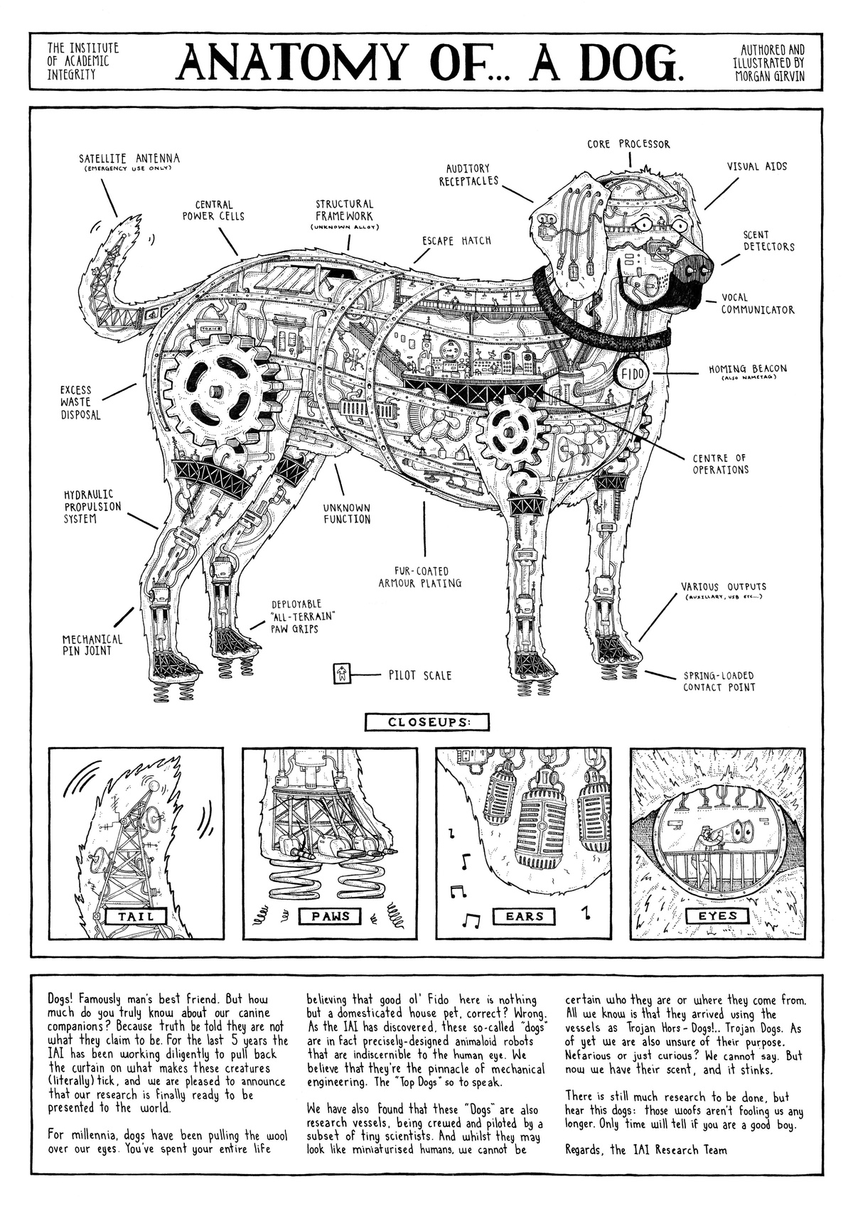 anatomy-of-a-dog-morgan-girvin