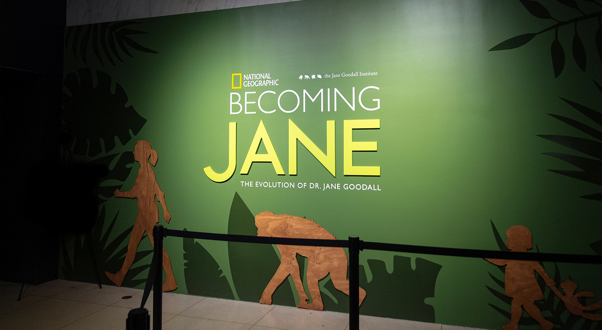 Nat Geo Museum Jane Goodall Exhibit — Teresa Van Wagner