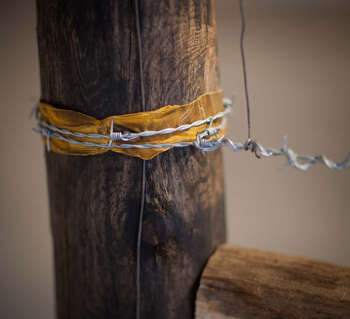 Barbed Wire Fence Telephone — philswebsite