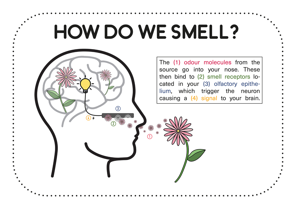 services-louison-coutte