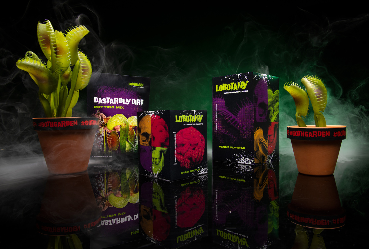 Lobotany — Leah Greer Design & Art Direction