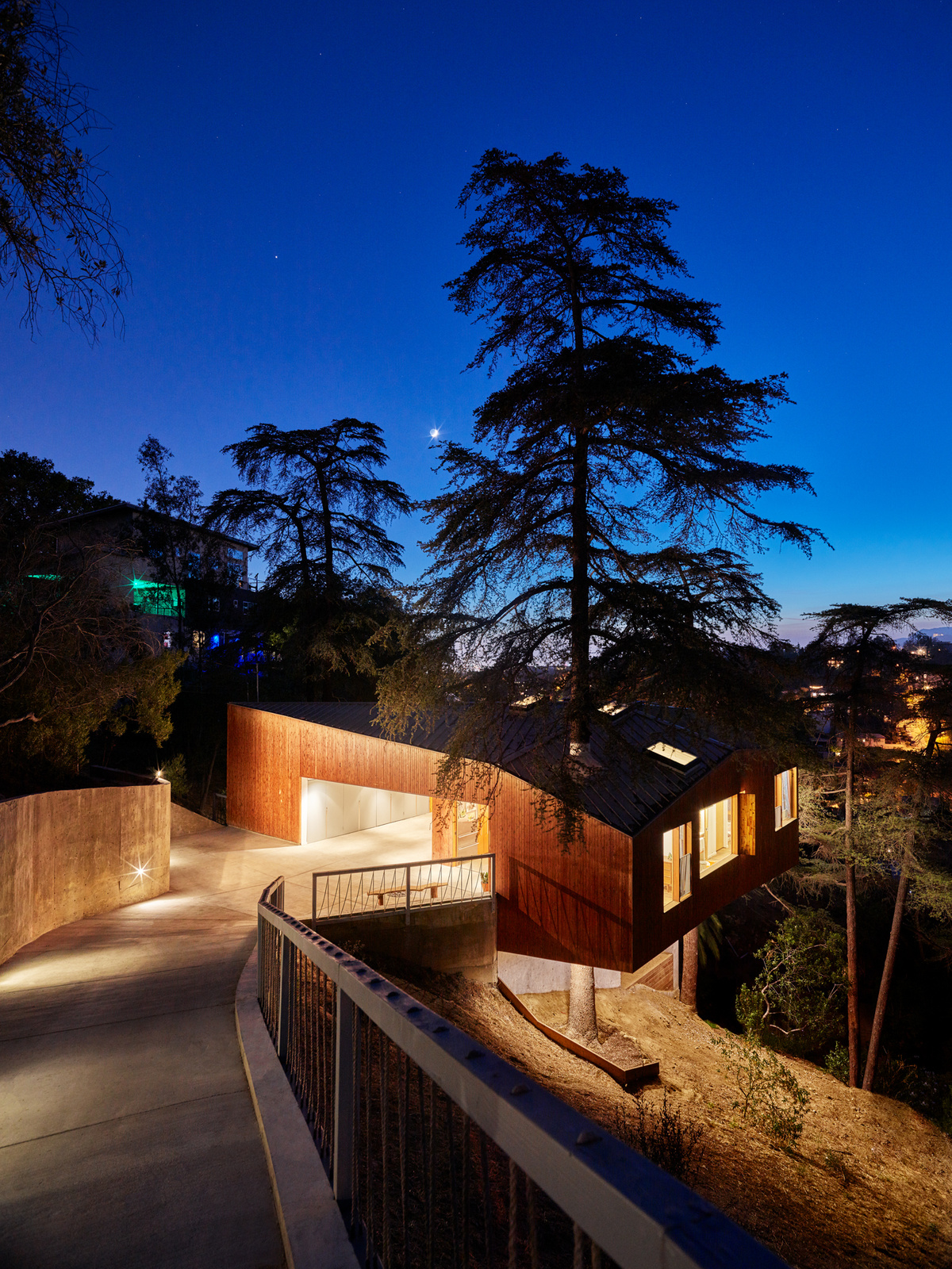 House in Trees — Anonymous Architects