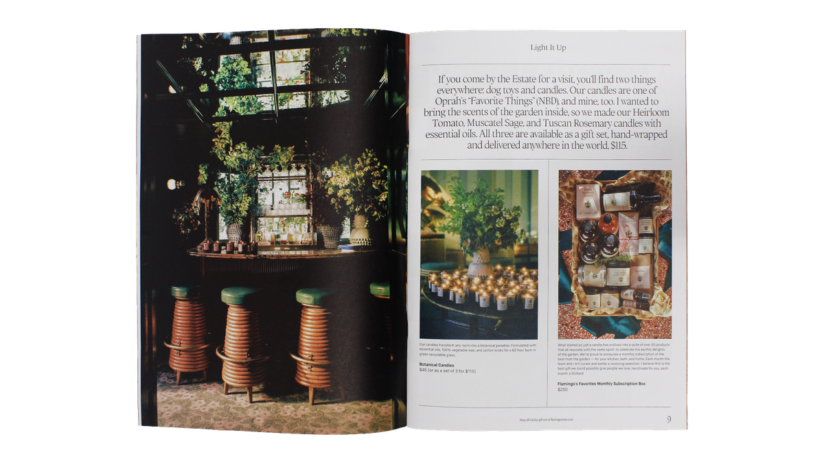 Season of Joy — Nico Filoseta