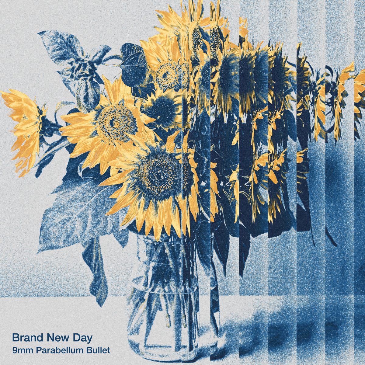 9mm Parabellum Bullet / Brand New Day - RYOTARO KAWASHIMA