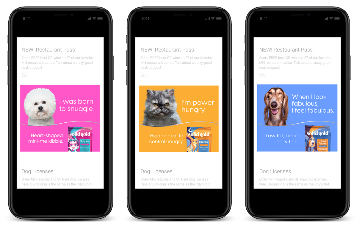 Solid Gold Pet — PURE HUSTLE