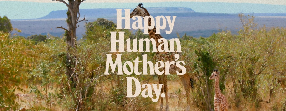 Happy Human Mother's Day — Alex Nassour + Art Director