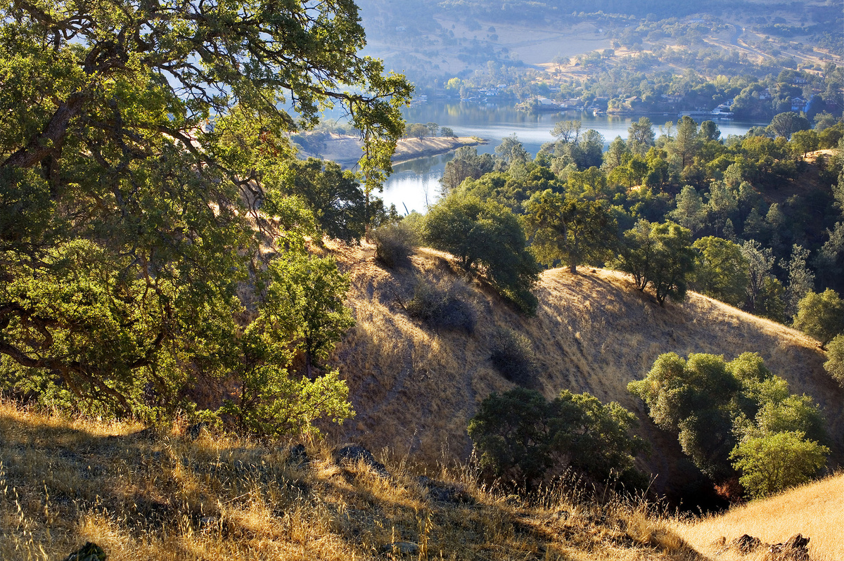 Tuscany Hills Residential Masterplan Study — PLAT Studio