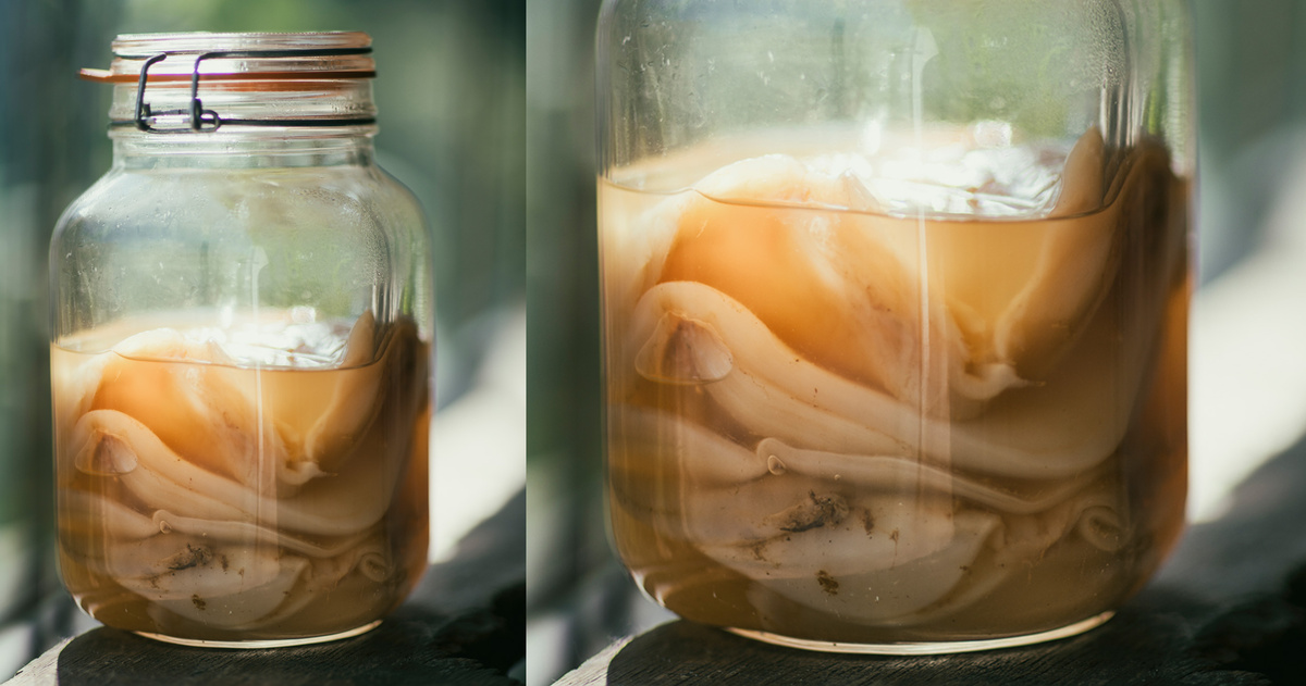 WS Kombucha — STRUNK