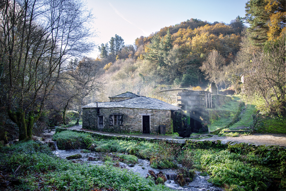 Mazo de Mazonovo — Ferreiros de Mazonovo