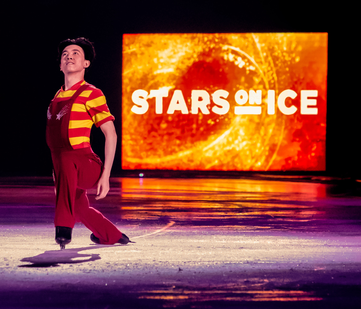 Stars on Ice — dpurpurea studio