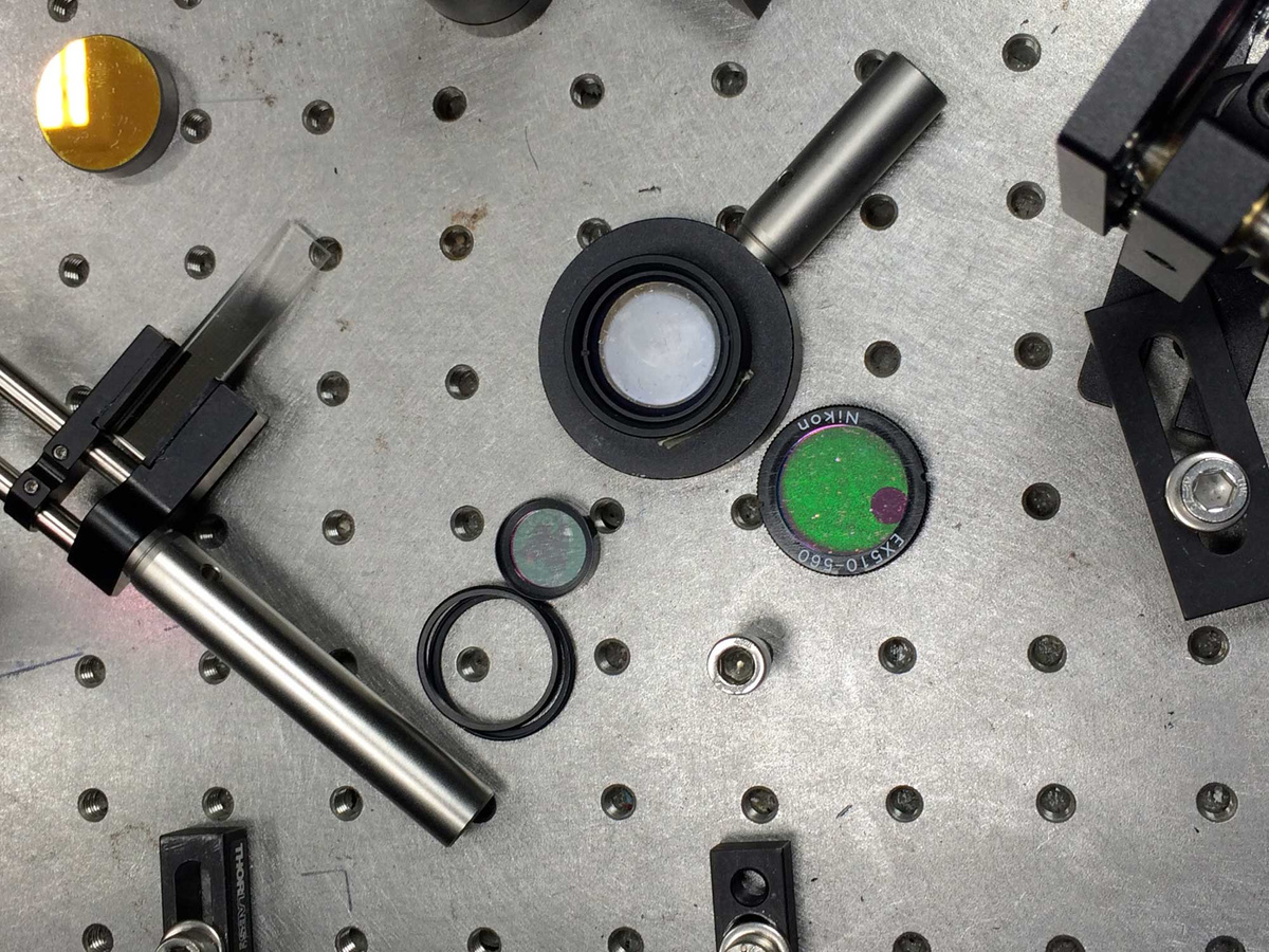 Chamberlain Lab — DavidLemm