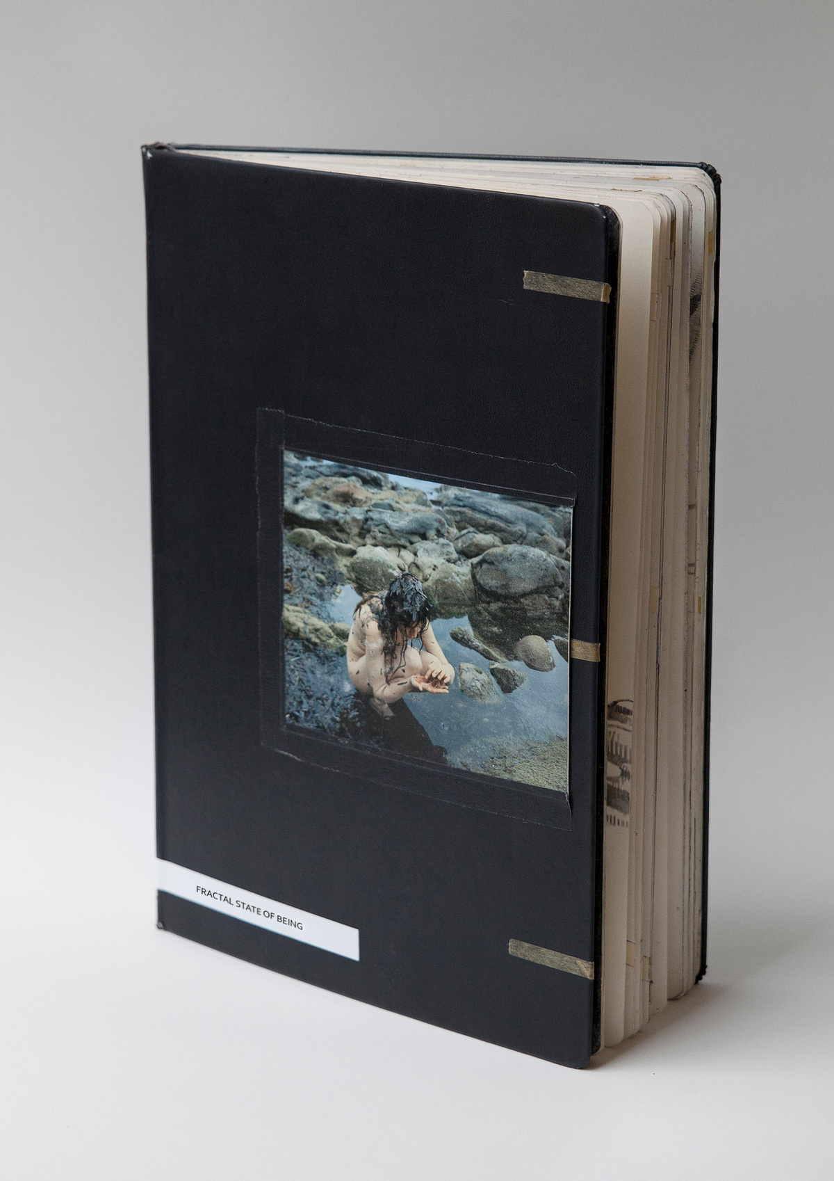 【希少品】「Fractal State Of Being」 Fractal State of Being - saraskorganteigen