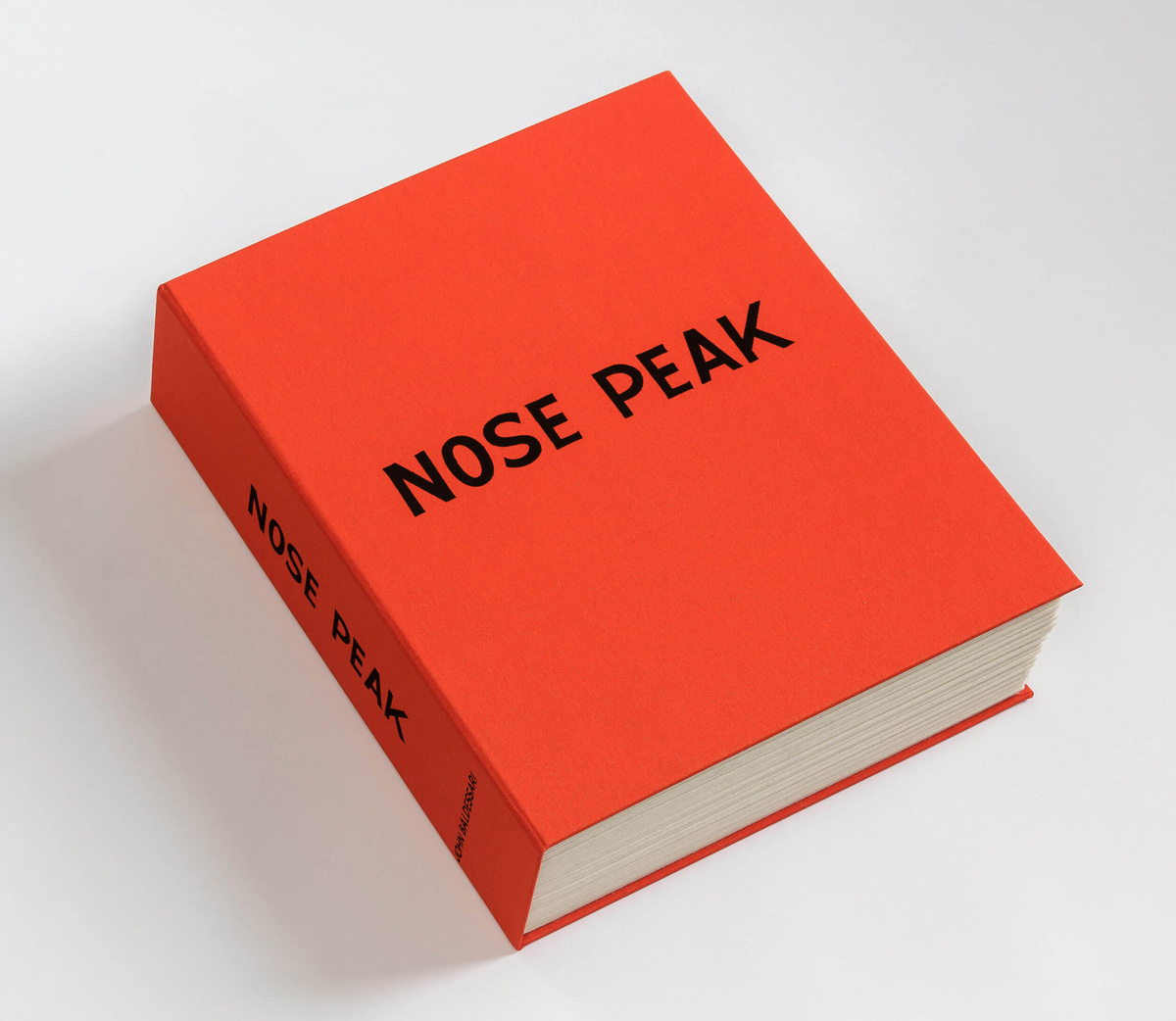 These books very good. John Baldessari Pure Beauty book. Book Northstar. Northstar books contents.