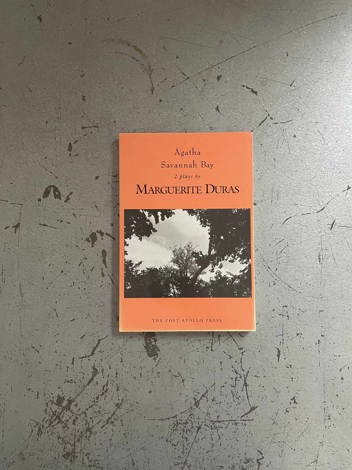 AGATHA & SAVANNAH BAY - MARGUERITE DURAS / $33.00 - BLUE FLOWER TEXTS