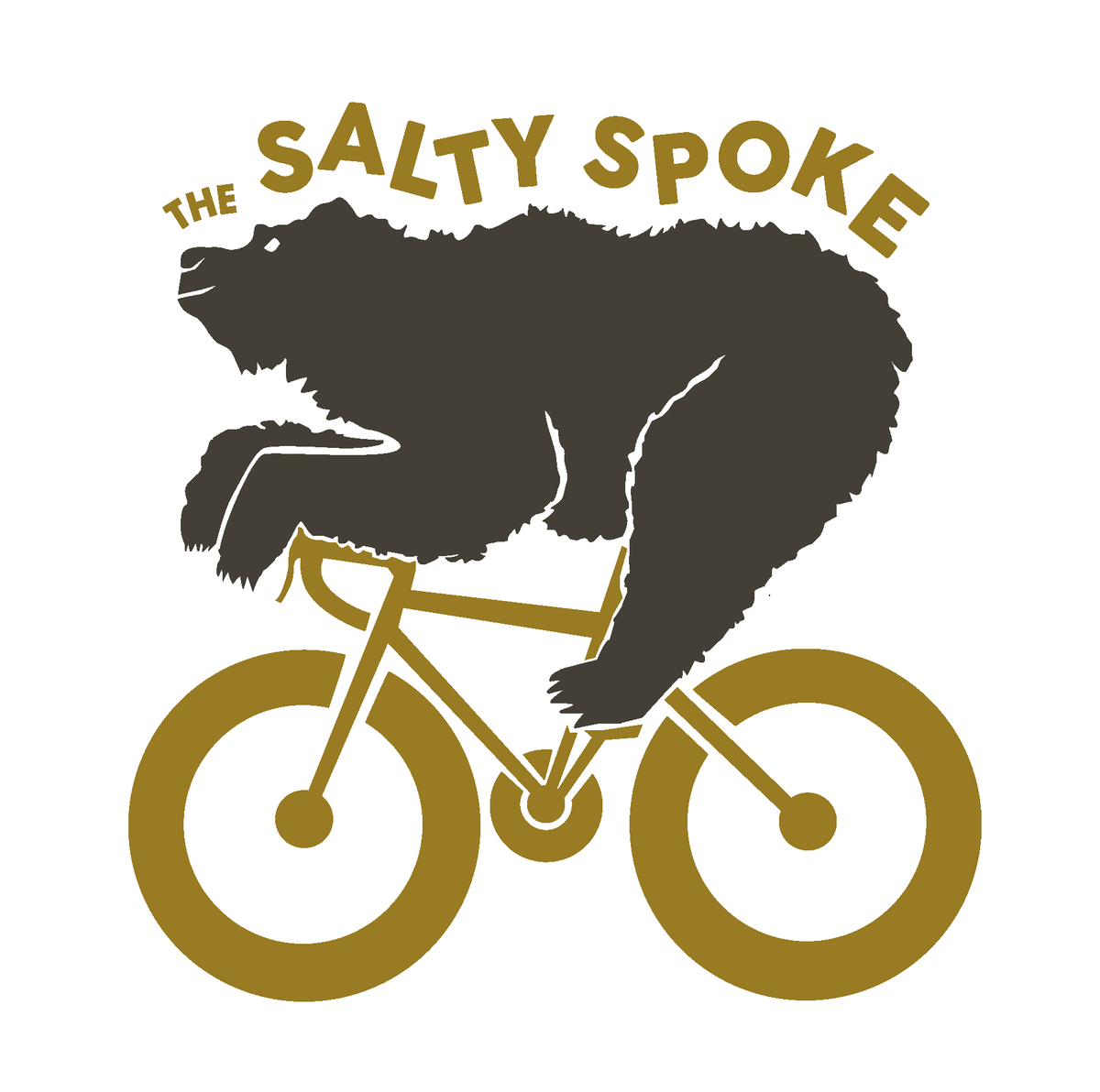 Salty bikes discount