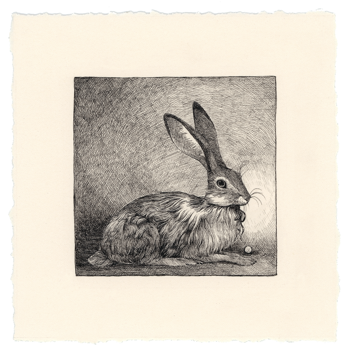 Rabbit-PaperCutting-ページ☆ il_340x270.5644771548_avfp.jpg