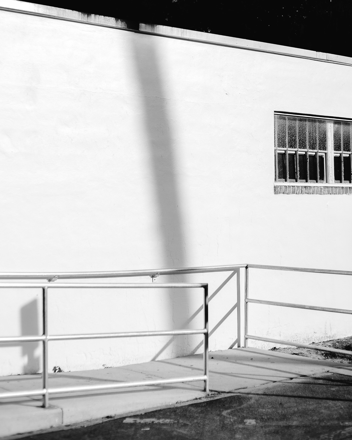 Micanopy — Conifer