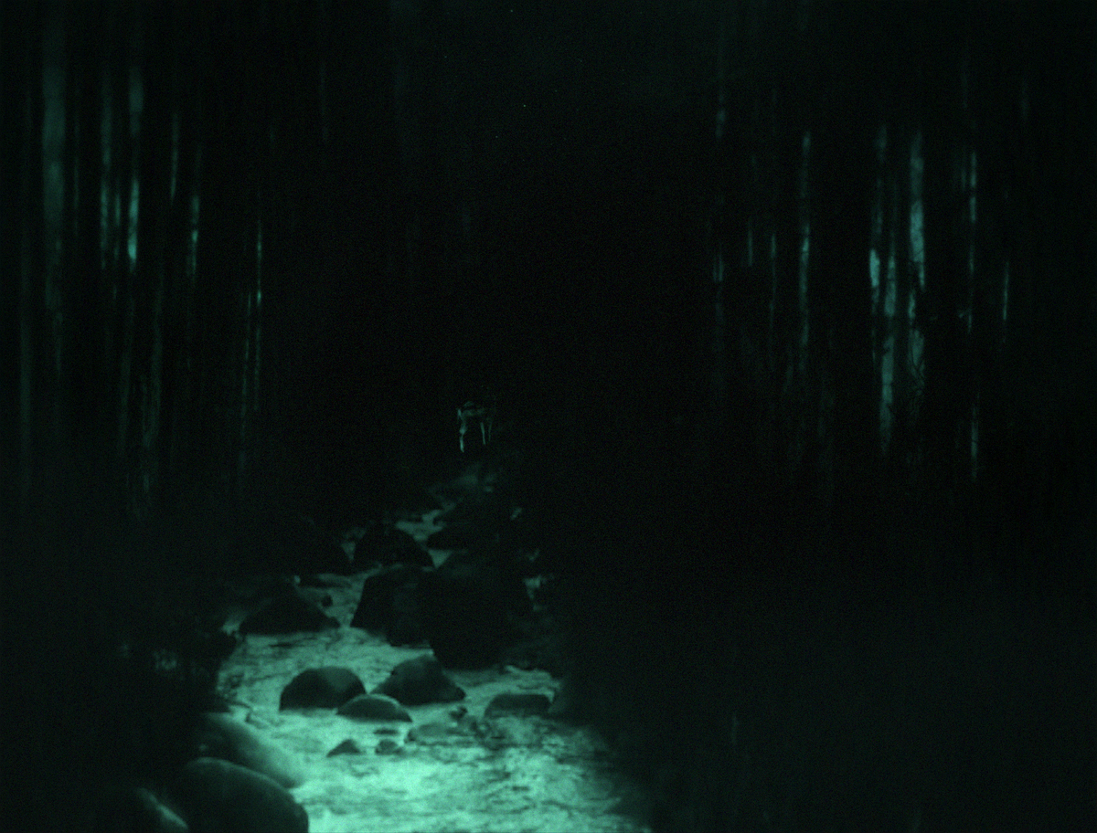 The Emerald Fire — Scott Barley