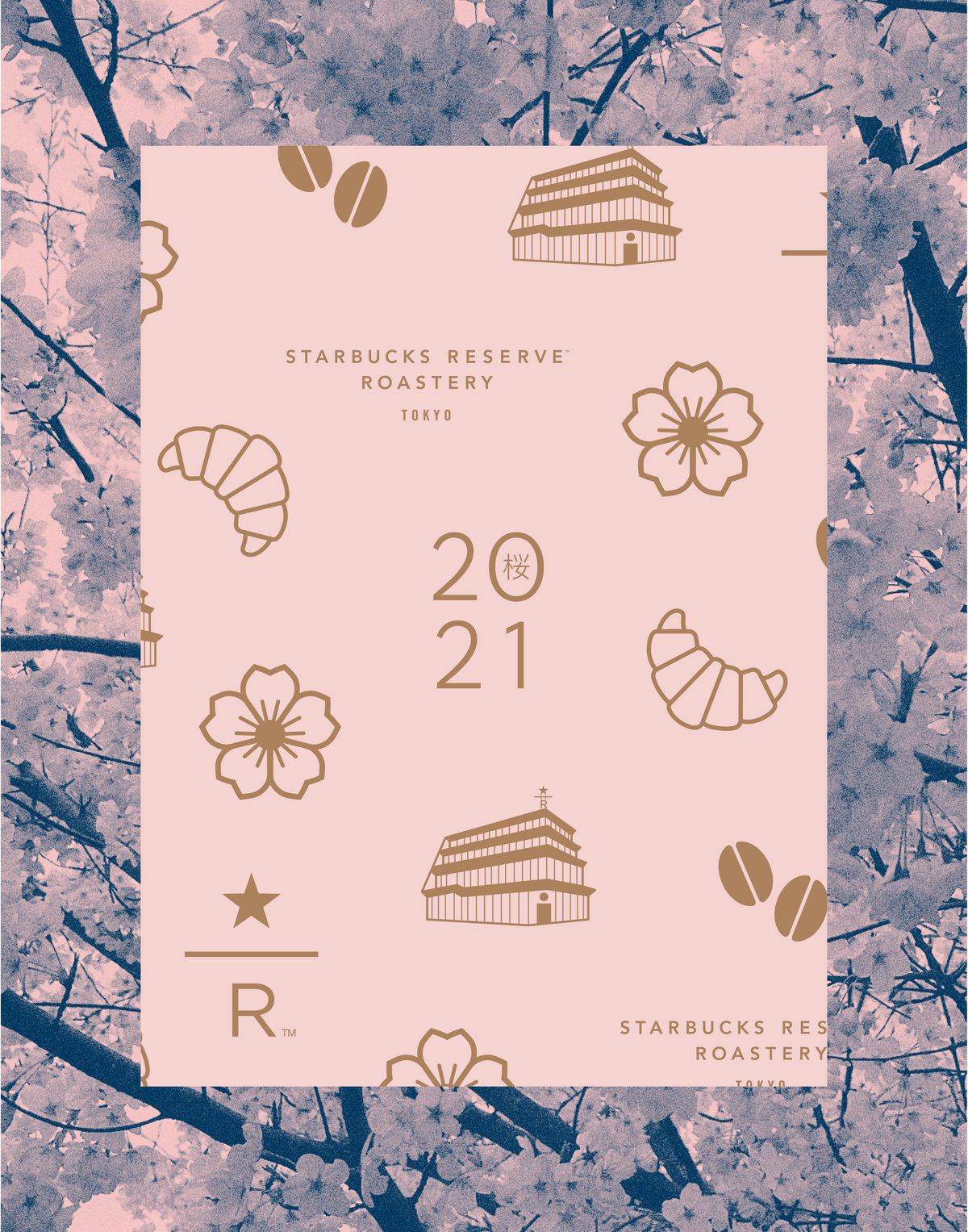 Sakura Collection - Portfolio