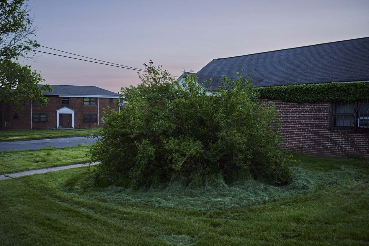 An overgrown bush on the grounds of the abandoned Westbrook Village. The exact location of the gallows where Alse Young (1647), Mary Johnson (1648), Joan & John Carrington (1651), Lydia Gilbert (1654), Mary Barnes (1663), Nathanial & Rebecca Greensmith (1663), and Mary Sanford (1662) were hanged is unknown. This is one of the possible execution sites. Hartford, CT.