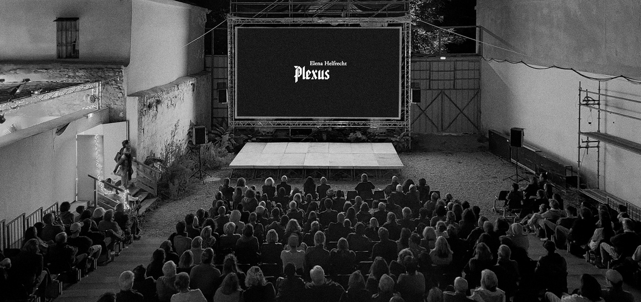 Plexus, screening at the Night of the Year, Rencontres d'Arles 2024. Video edited by Teri Varhol, Soundtrack by Ludwig Synth.