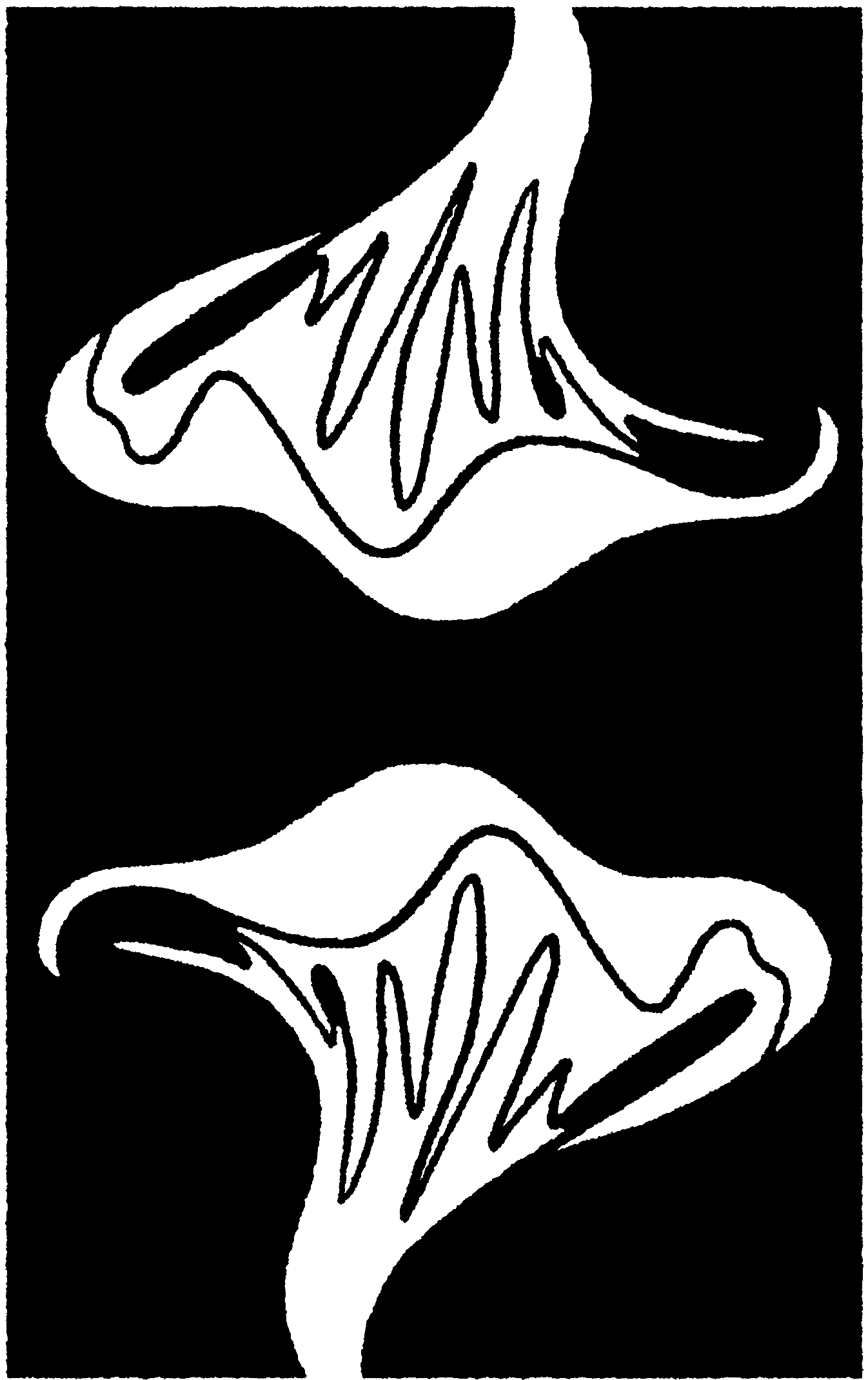 Koloman Mushroom Logo