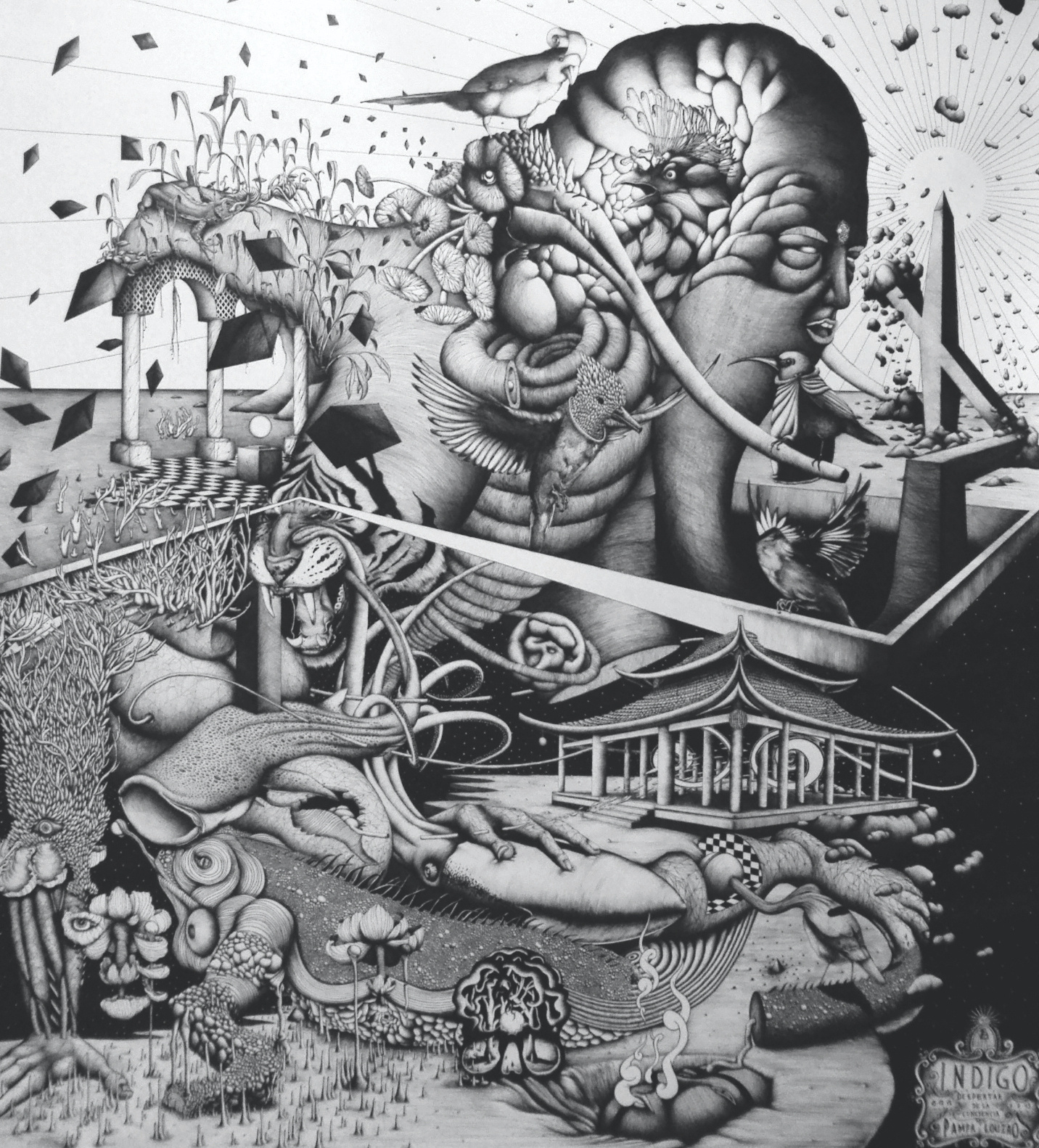 ‘INDIGO IV - ‘The consciousness awakening’ / 1,5x1,5 mts / Ink on paper