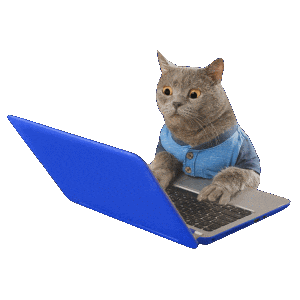 Technical Assistance 