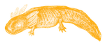 C-01