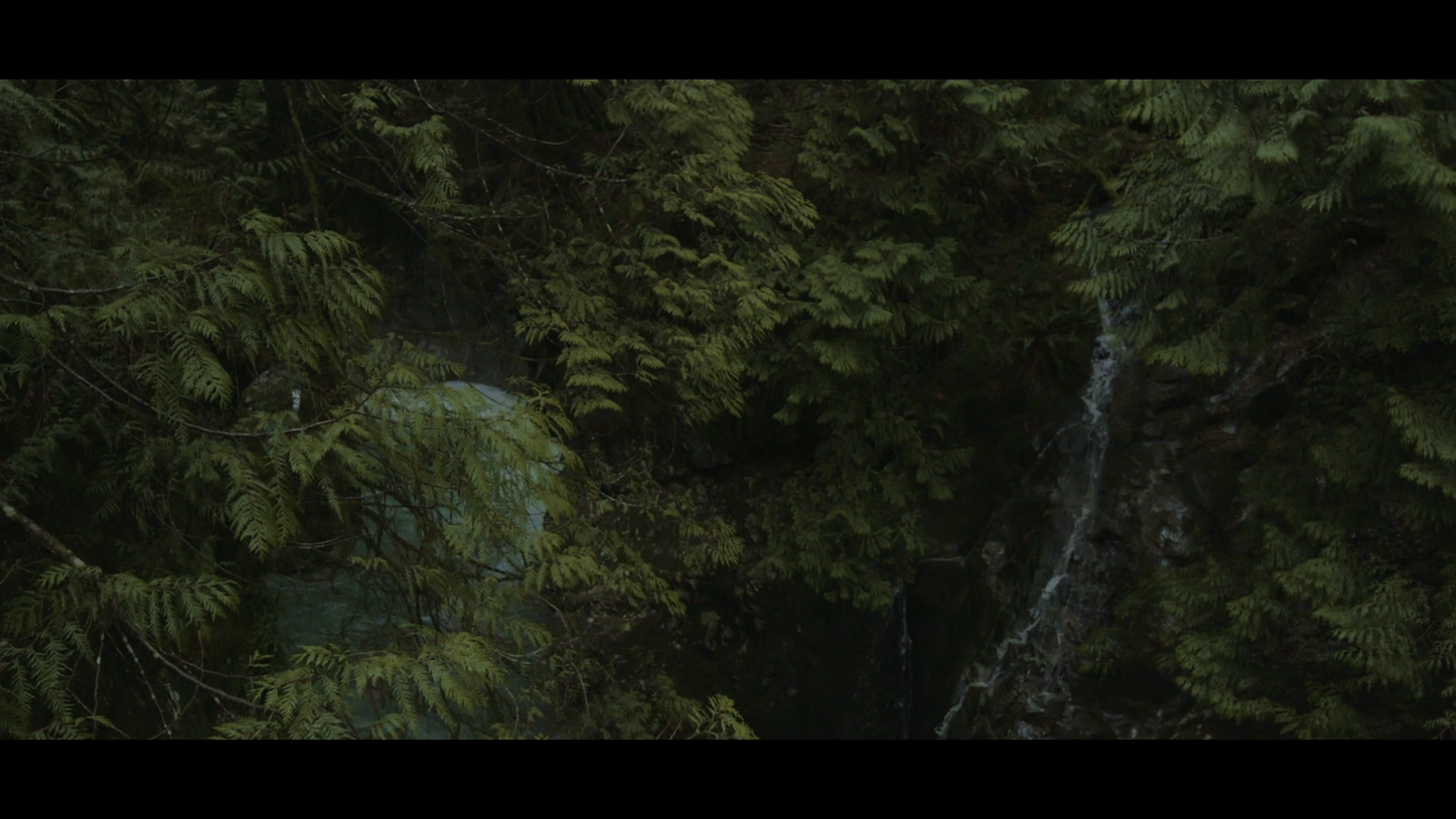 Andreas Psaltis-Sounds of Nature-North Vancouver Landscape