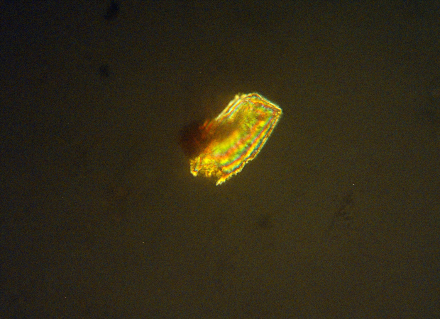 Six Bells Goetite Digital photograph Cross-Polarised Light (XPL) x1000, Field of view 0.1 mm