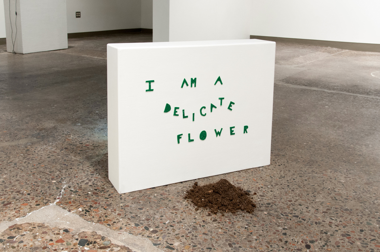 I AM A DELICATE FLOWER, 2014, hand-cut foam sheet, soil