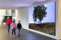 Courtesy Frieder Burda Museum, Baden-Baden, photo: Nicolay Kazakov, 2024