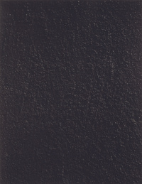 © Bernar VENETMacadam BADAGP Paris, Courtesy Bigaignon