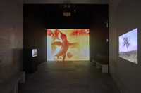 2025 photo Laëtitia Striffling-Marcu @Musée de l'Orangerie