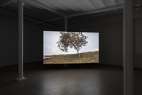 Galerie Greta Meert, 2023