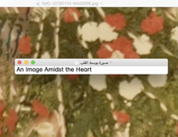Traveling Images, an Image Amidst the Heart الصور المتنقلة, صورة بوسط القلب