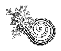 Pflanzengeschwister_Logo