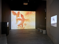 2025 photo Laëtitia Striffling-Marcu @Musée de l'Orangerie