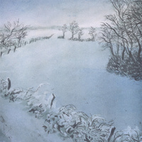 the hedges