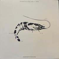 Ebi — Susumu Yokota