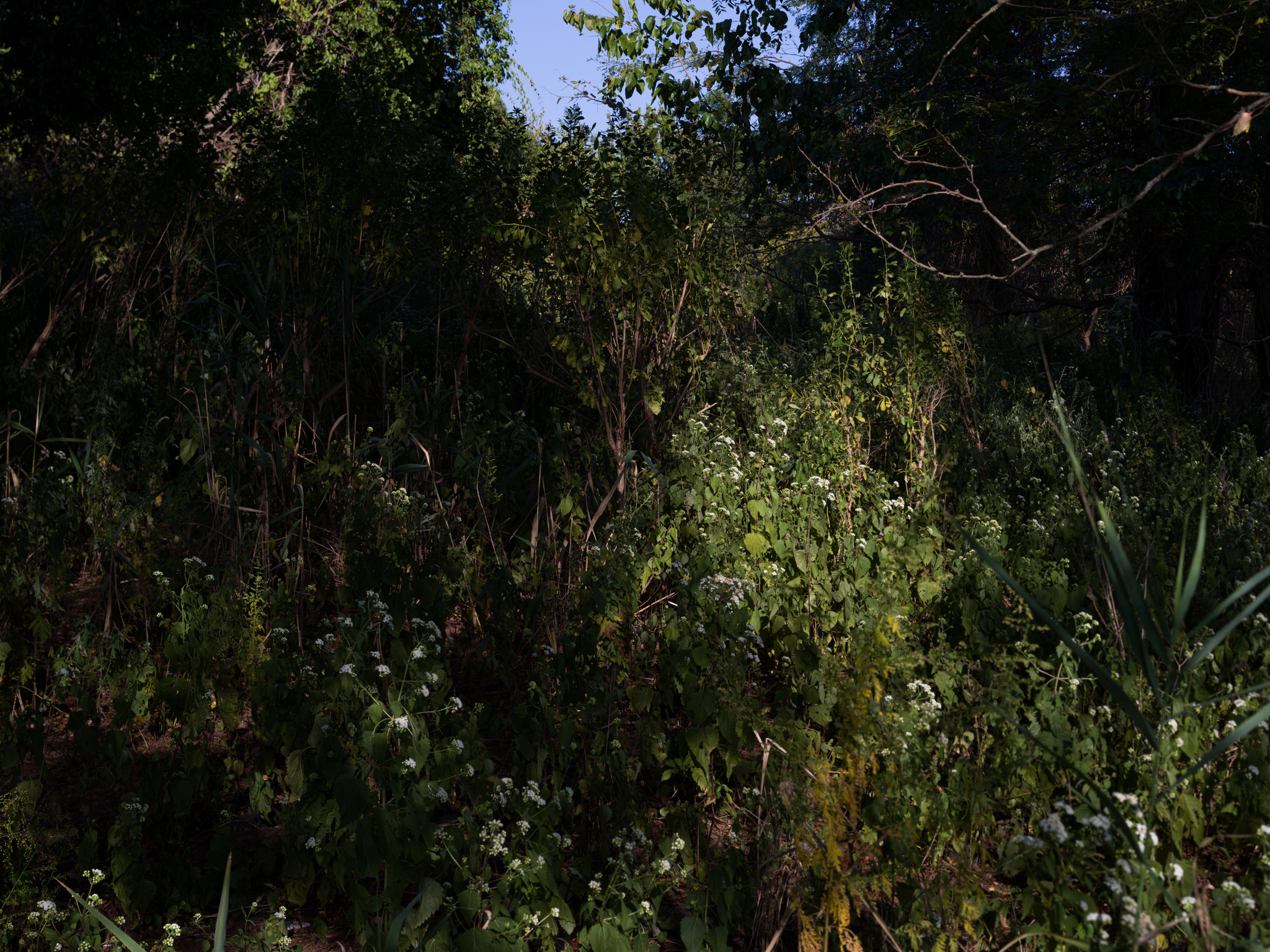 Jade Doskow Photography