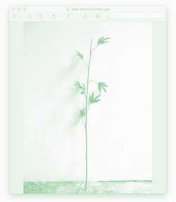 a plant is a plant is a plant (revista Dose), 2019