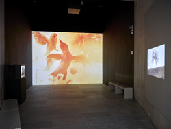 2025 photo Laëtitia Striffling-Marcu @Musée de l'Orangerie