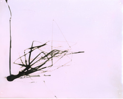 Dimensional Bodies, Automated Version.