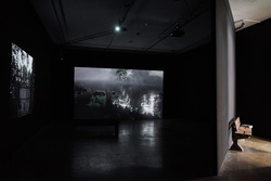 Project Arts Centre Dublin 2015 (photo Ros Kavanagh)